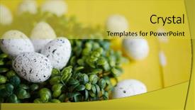  Presentation with pineapple a yellow wooden - Slide set consisting of green decorative easter quail eggs background and a yellow colored foreground