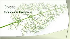  Presentation with green leaves - Presentation theme with green-dill-leaves-isolated background and a cream colored foreground