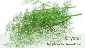  Presentation with green leaves - Presentation theme having green-dill-leaves-isolated background and a mint green colored foreground