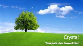  Presentation with dreams - Beautiful presentation theme featuring green dreams backdrop and a tawny brown colored foreground