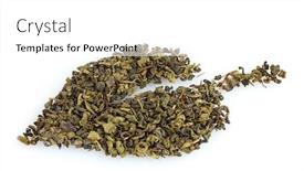  Presentation with green tea - Beautiful presentation theme featuring green-dry-tea-leaf-shape backdrop and a white colored foreground