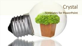  Presentation with green energy - Amazing theme having green eco energy concept plant growing inside light bulb isolated on white backdrop and a cream colored foreground