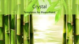  Presentation with water bamboo - Cool new presentation theme with green eco friendly - bamboo shoots with water backdrop and a yellow colored foreground