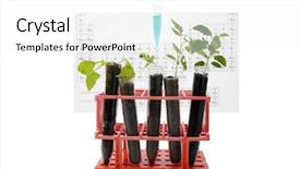  Presentation with green botanical - PPT theme enhanced with green engineering - botanical research plants growing background and a white colored foreground