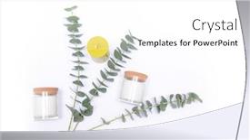  Presentation with eucalyptus - Amazing PPT layouts having green-eucalyptus-twigs-salt backdrop and a white colored foreground