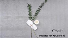  Presentation with eucalyptus - Slides enhanced with green eucalyptus twigs with rolled towel and candle on a gray background background and a light gray colored foreground