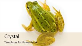 Presentation with water drop green planet - Cool new PPT layouts with green european or water frog backdrop and a yellow colored foreground