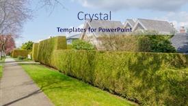  Presentation with privacy - PPT theme with green-fence-built-from-trees background and a light blue colored foreground