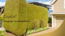  Presentation with privacy - PPT layouts featuring green-fence-built-from-trees background and a gold colored foreground