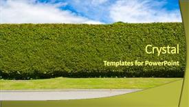  Presentation with green lawn - Theme consisting of green fence with green lawn background and a tawny brown colored foreground