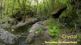  Presentation with fern - Amazing PPT layouts having green fern and mountain creek in malabotta wood sicily backdrop and a tawny brown colored foreground