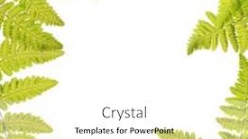  Presentation with fern - Beautiful presentation theme featuring green fern branch isolated on white background backdrop and a white colored foreground