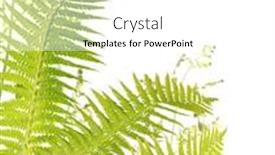 Presentation with fern - Beautiful PPT layouts featuring green-fern-branches-isolated backdrop and a white colored foreground