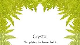  Presentation with fern - PPT layouts enhanced with green-fern-half-frame-isolated background and a white colored foreground