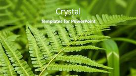  Presentation with green leaf - Audience pleasing PPT theme consisting of green-fern-leaf backdrop and a tawny brown colored foreground