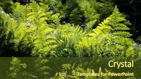  Presentation with green leaves - Slides consisting of green fern leaves in sunlight background and a tawny brown colored foreground