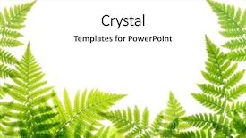  Presentation with fern - Colorful PPT theme enhanced with green fern leaves isolated backdrop and a white colored foreground