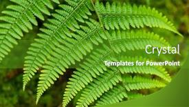  Presentation with growing tree - Presentation featuring green-fern-tree-growing background and a tawny brown colored foreground