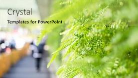  Presentation with fern - Slide deck featuring green-fern-with-leaves background and a yellow colored foreground