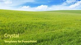 Presentation with meadow - Beautiful PPT theme featuring green field - spring meadow and blue sky backdrop and a tawny brown colored foreground
