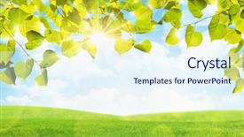  Presentation with chemistry leaves green leaf - Presentation consisting of green field and blue sky background and a  colored foreground