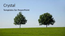  Presentation with field - Presentation theme having green field and two trees background and a light blue colored foreground