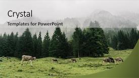  Presentation with rainy day - PPT layouts enhanced with green field in mountains rainy background and a white colored foreground