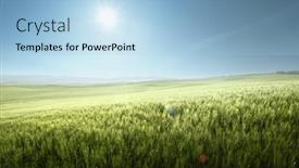  Presentation with tuscany - Presentation theme with green-field-of-wheat background and a light blue colored foreground