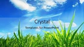  Presentation with colorful green corn field - Audience pleasing slides consisting of green field of young corn backdrop and a light blue colored foreground