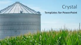  Presentation with corn field - Audience pleasing slide deck consisting of green-field-of-young-corn backdrop and a light blue colored foreground