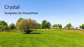  Presentation with blue green - Amazing presentation theme having green field tree and blue backdrop and a light blue colored foreground