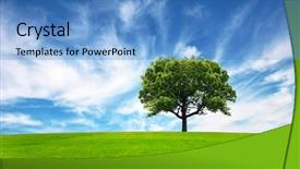  Presentation with green tree - Theme with green field tree and blue background and a teal colored foreground