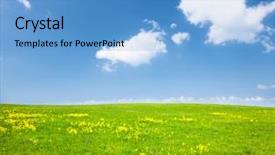  Presentation with blue flower - Slides featuring green field with flowers background and a teal colored foreground