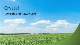  Presentation with sorghum - PPT theme enhanced with green-field-with-grass background and a cyan colored foreground