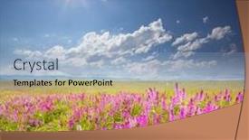  Presentation with pink sky - Slide set consisting of green-field-with-pink-wildflowers background and a light blue colored foreground