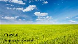  Presentation with green earth - Cool new PPT theme with green field with white fluffy backdrop and a gold colored foreground