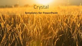  Presentation with green mountains - Slide set consisting of green-fields-and-mountains-silhouette background and a yellow colored foreground