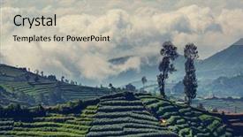  Presentation with indonesia - Theme having green-fields-in-indonesia background and a light gray colored foreground