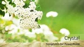  Presentation with empty - PPT layouts featuring green flower - empty wooden table and blurred background and a yellow colored foreground