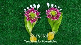  Presentation with footprints - PPT theme having green foot print - footprints of leaves and flowers background and a forest green colored foreground