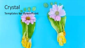  Presentation with footprints - PPT layouts having green foot print - footprints of leaves and flowers background and a cyan colored foreground