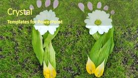  Presentation with footprints - Slide set enhanced with green foot print - footprints of leaves and flowers background and a tawny brown colored foreground
