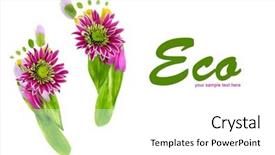  Presentation with footprints - Presentation theme consisting of green foot print - footprints of leaves and flowers background and a white colored foreground