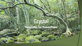  Presentation with sunshine - PPT theme having green forest and river background and a ocean colored foreground