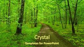  Presentation with path - Cool new slides with green forest and the path backdrop and a tawny brown colored foreground