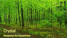  Presentation with path - Presentation theme featuring green forest and the path background and a tawny brown colored foreground