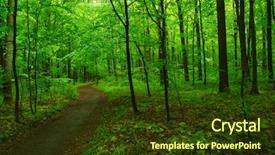  Presentation with abstract green forest - Theme having green forest and the path background and a  colored foreground