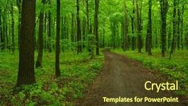  Presentation with mountains forests green forest - Colorful PPT theme enhanced with green forest and the path backdrop and a  colored foreground