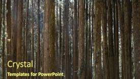  Presentation with recreation - Presentation enhanced with green-forest-at-alishan-national background and a tawny brown colored foreground