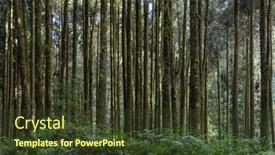  Presentation with recreation - Theme having green-forest-at-alishan-national background and a tawny brown colored foreground